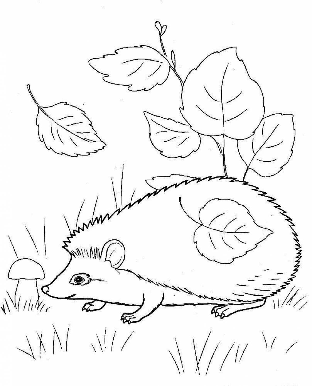 Coloring happy Prishvin the hedgehog