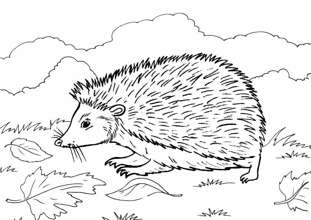 Coloring book playful hedgehog Prishvin