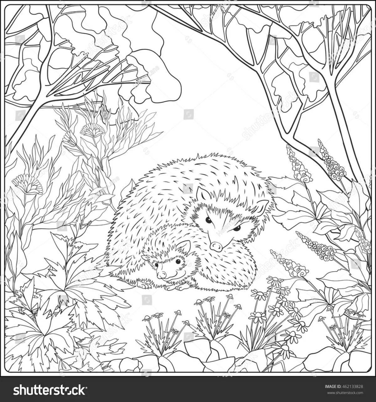 Coloring bizarre Prishvin hedgehog