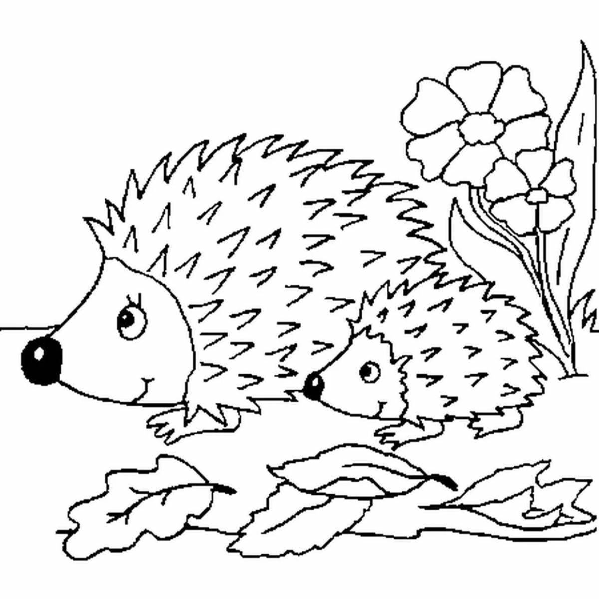Coloring radiant Prishvin hedgehog