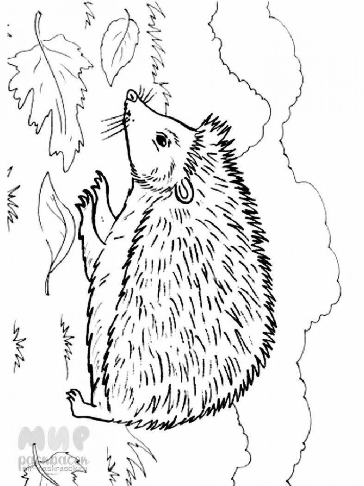 Coloring merry hedgehog Prishvin