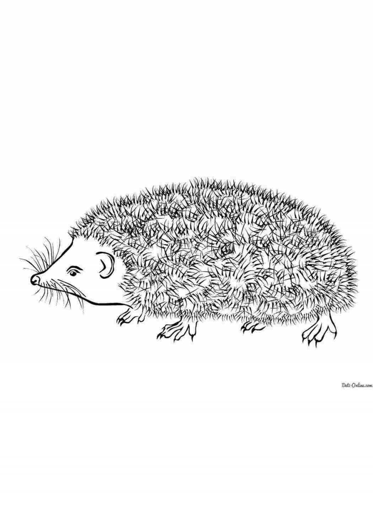 Coloring page charming hedgehog Prishvin