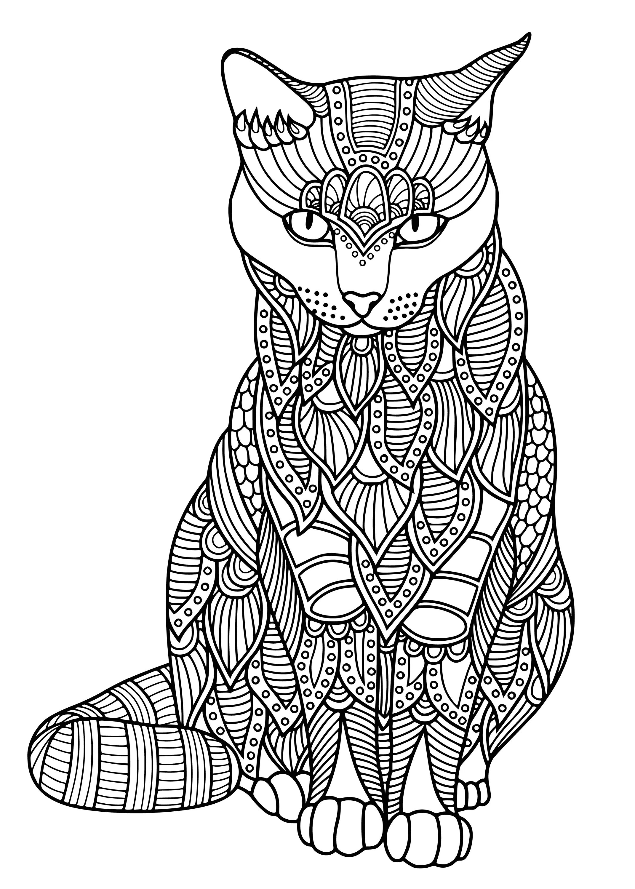 Привлекательная кошачья мандала раскраска
