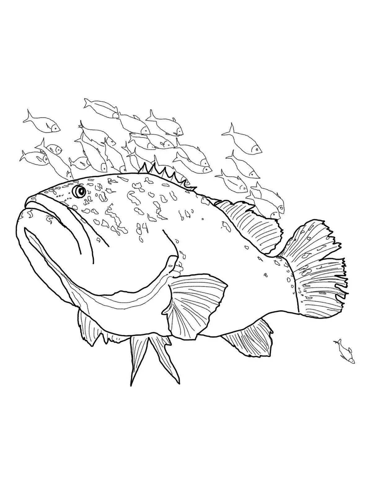 Раскраска очаровательная рыбка-ерш