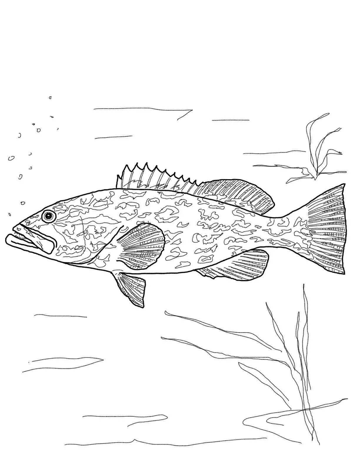 Sweet ruff fish coloring page