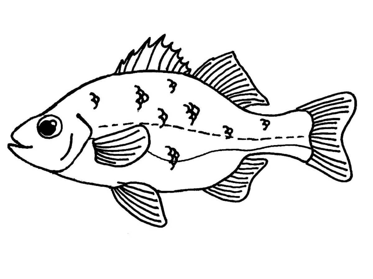 Coloring book gorgeous ruff fish