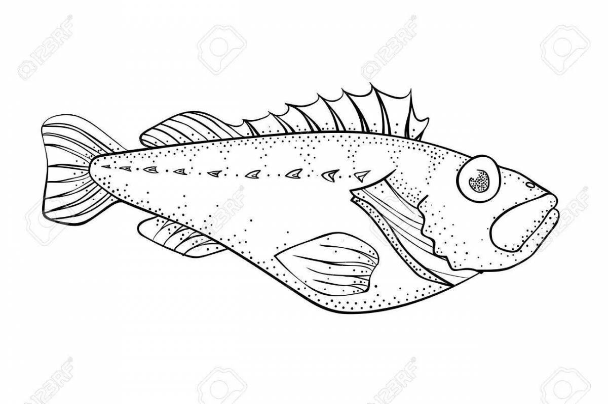 Coloring book nice ruff fish