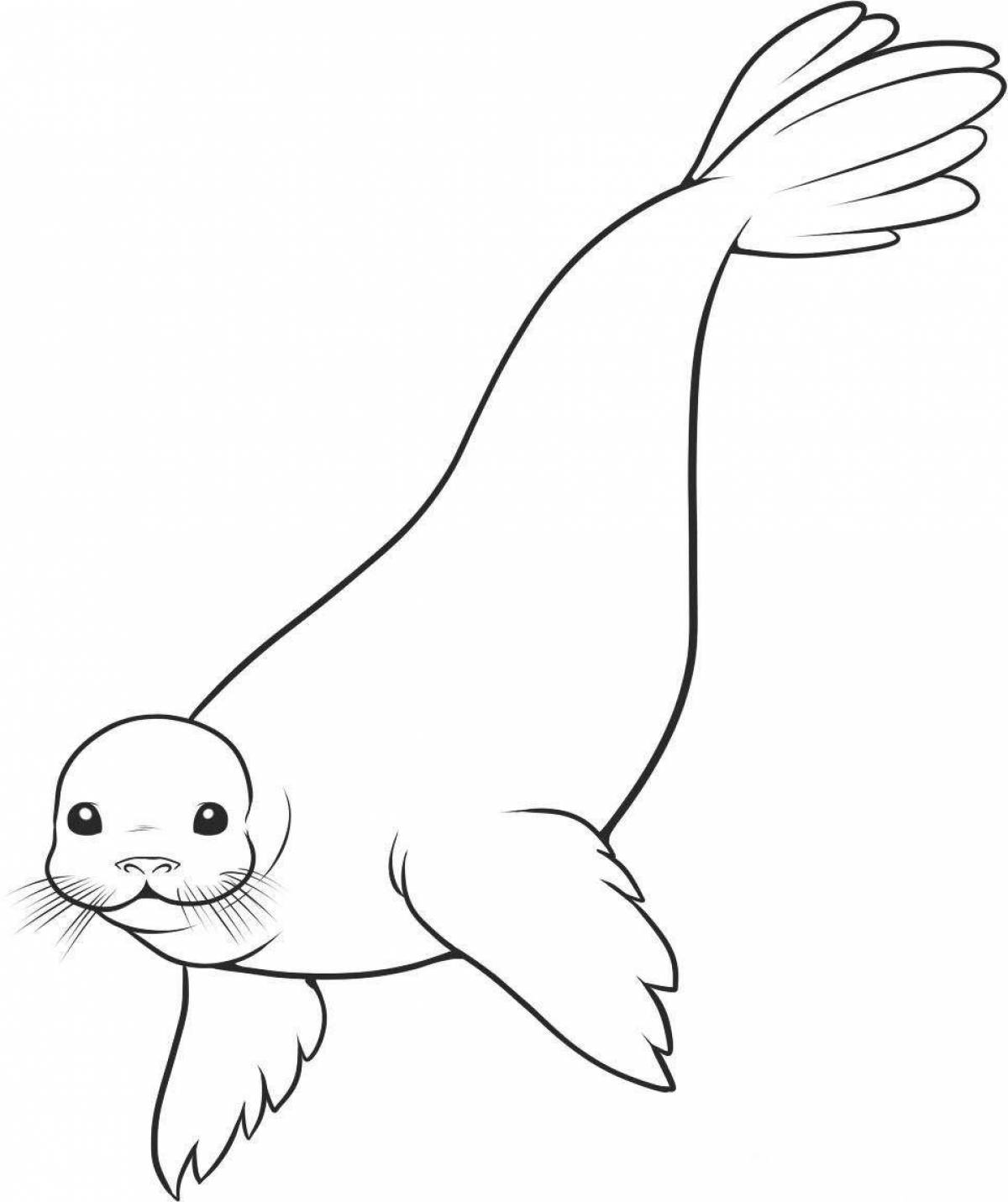 Playful harbor seal coloring page
