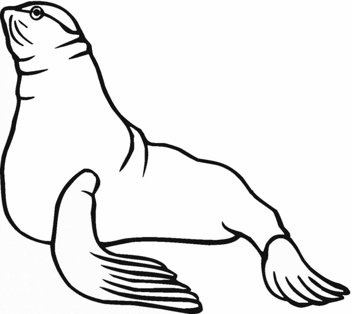 Веселая страница раскраски обыкновенного тюленя
