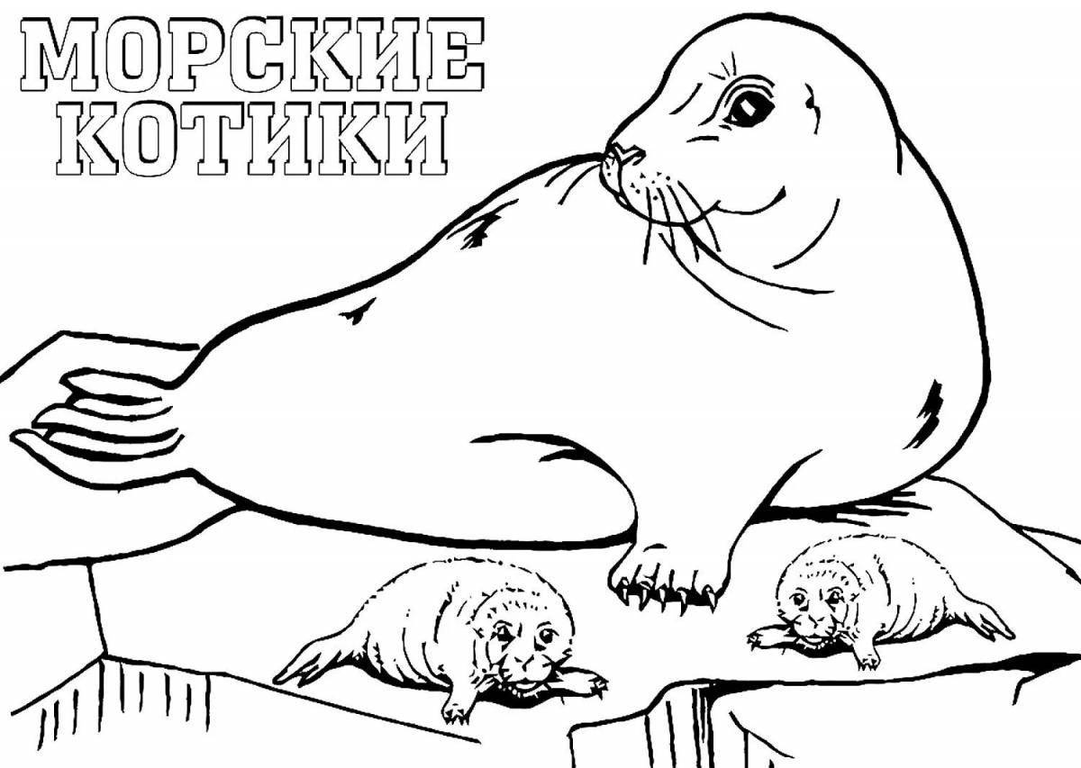 Увлекательная раскраска обыкновенного тюленя