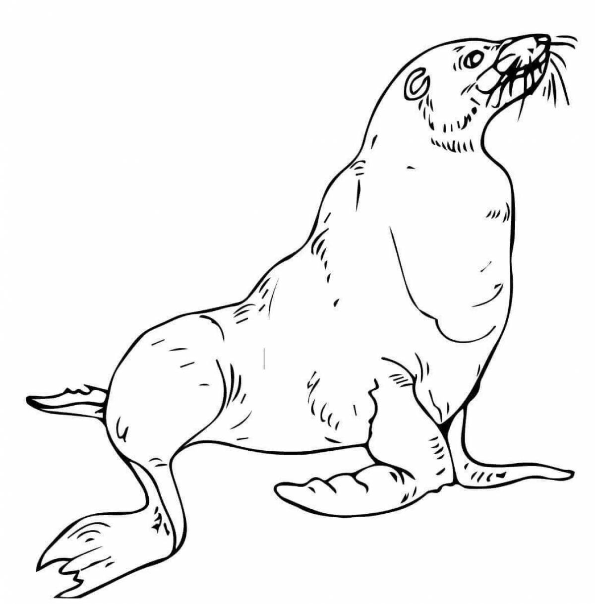 Amazing harbor seal coloring page
