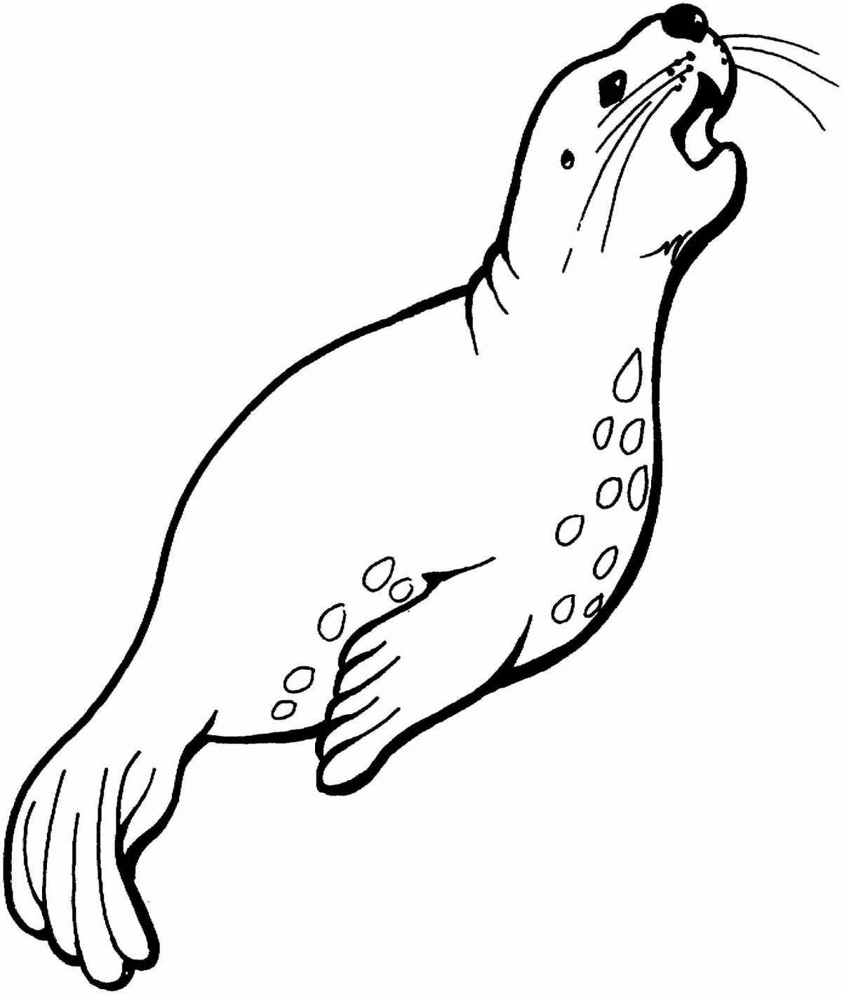 Coloring page magnificent harbor seal