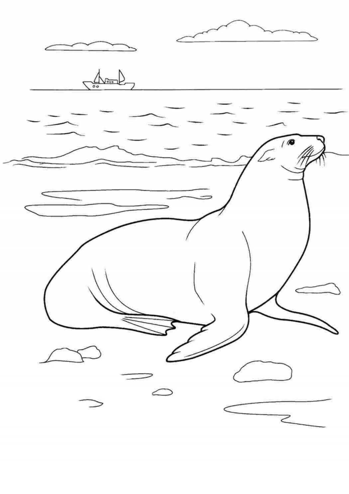 Adorable harbor seal coloring page