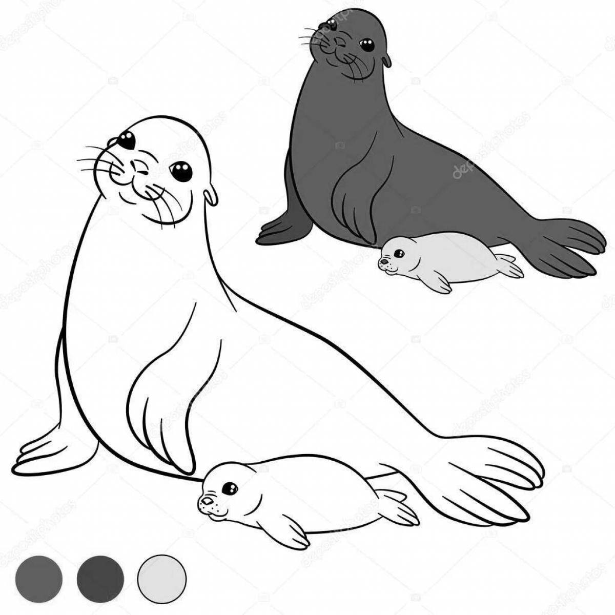 Coloring book witty harbor seal