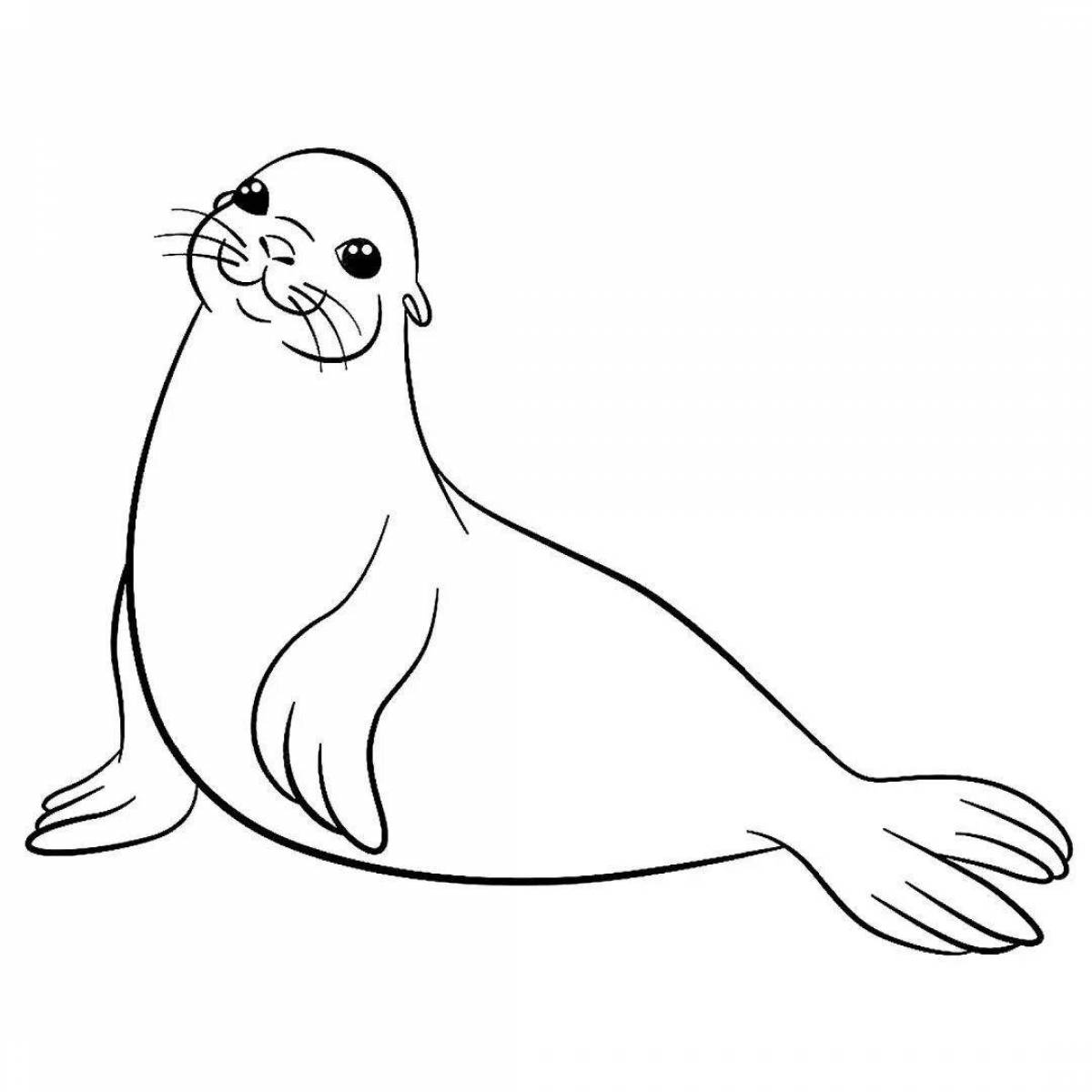 Funky harbor seal coloring page