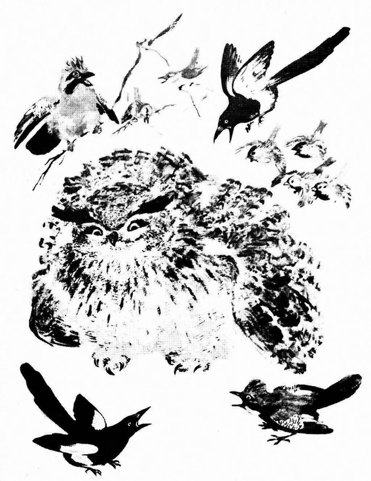 Иллюстрации е Чарушина про птиц