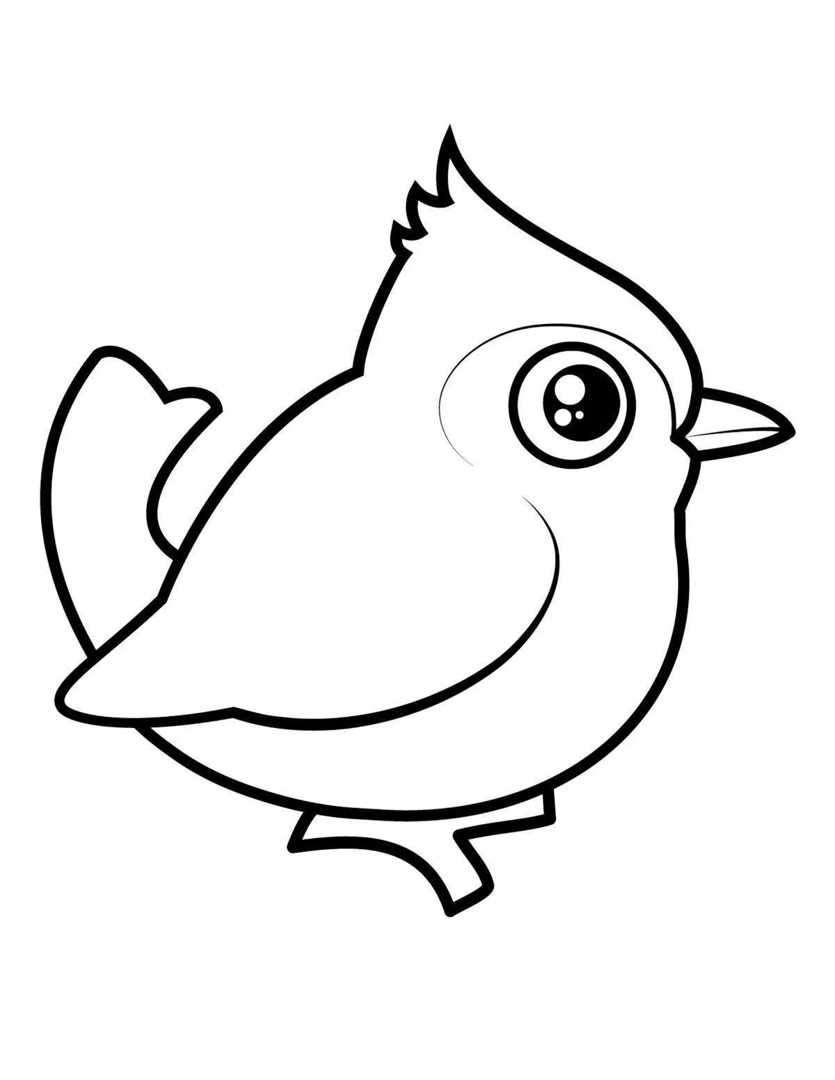 Tempting bird drawing coloring book