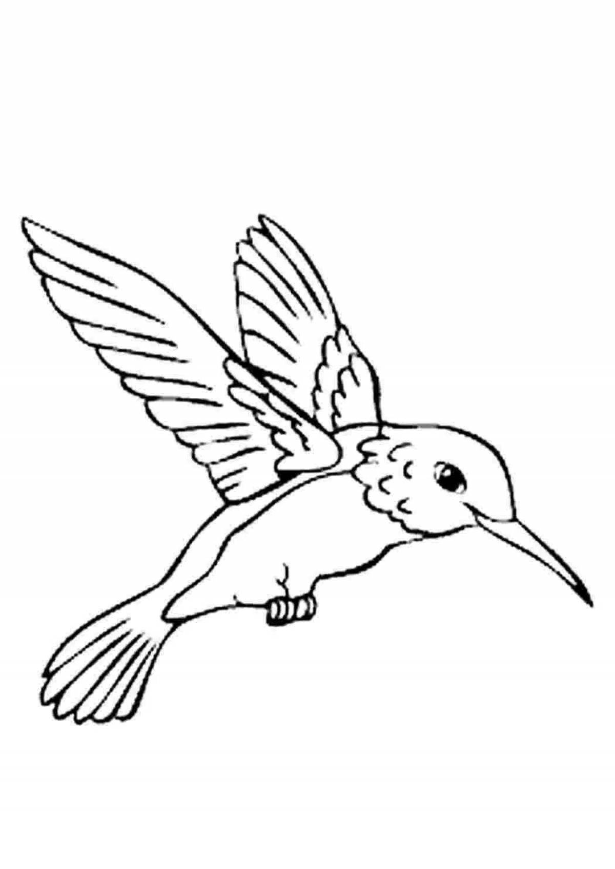 Сладкая раскраска рисунок птицы