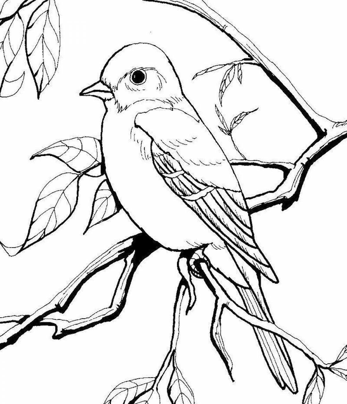 Beautiful coloring drawing of a bird