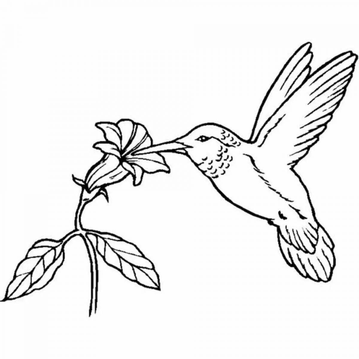 Peaceful coloring bird drawing