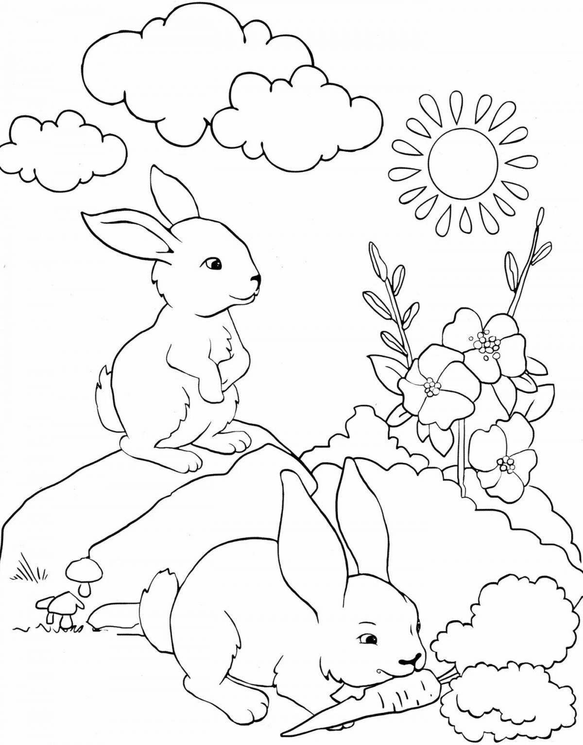 Jolly rabbit coloring book