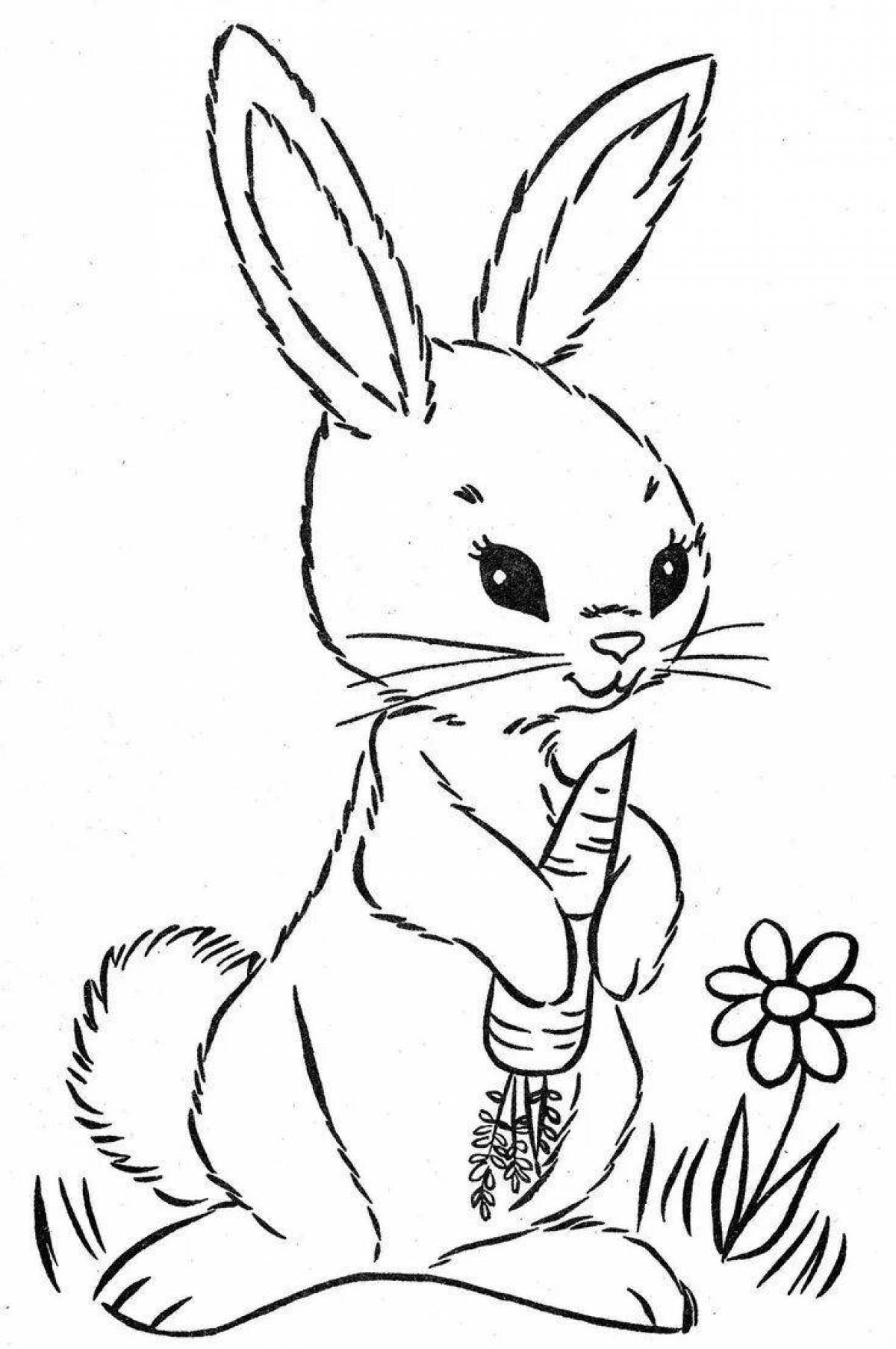Fun coloring hare