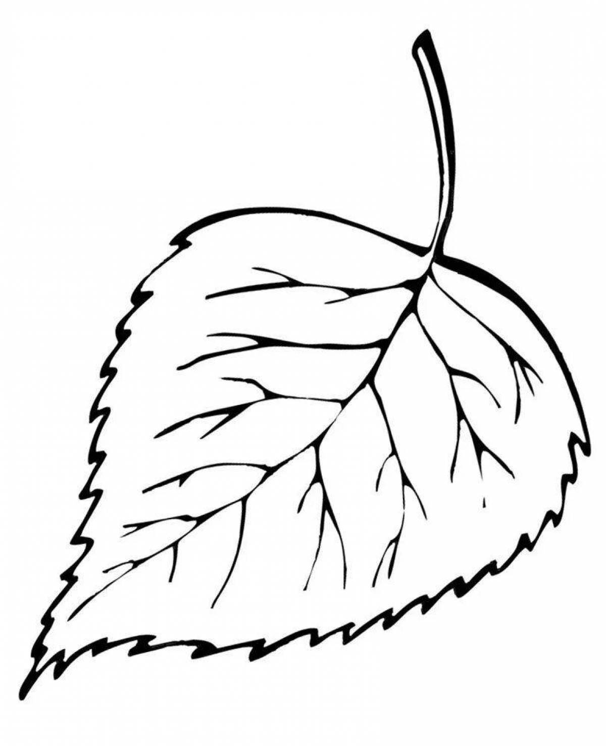 Exquisite birch coloring page