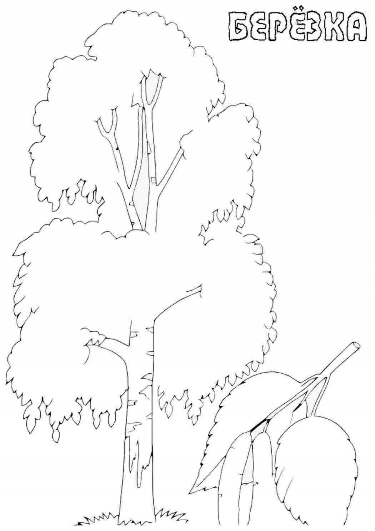 Glitter birch coloring page