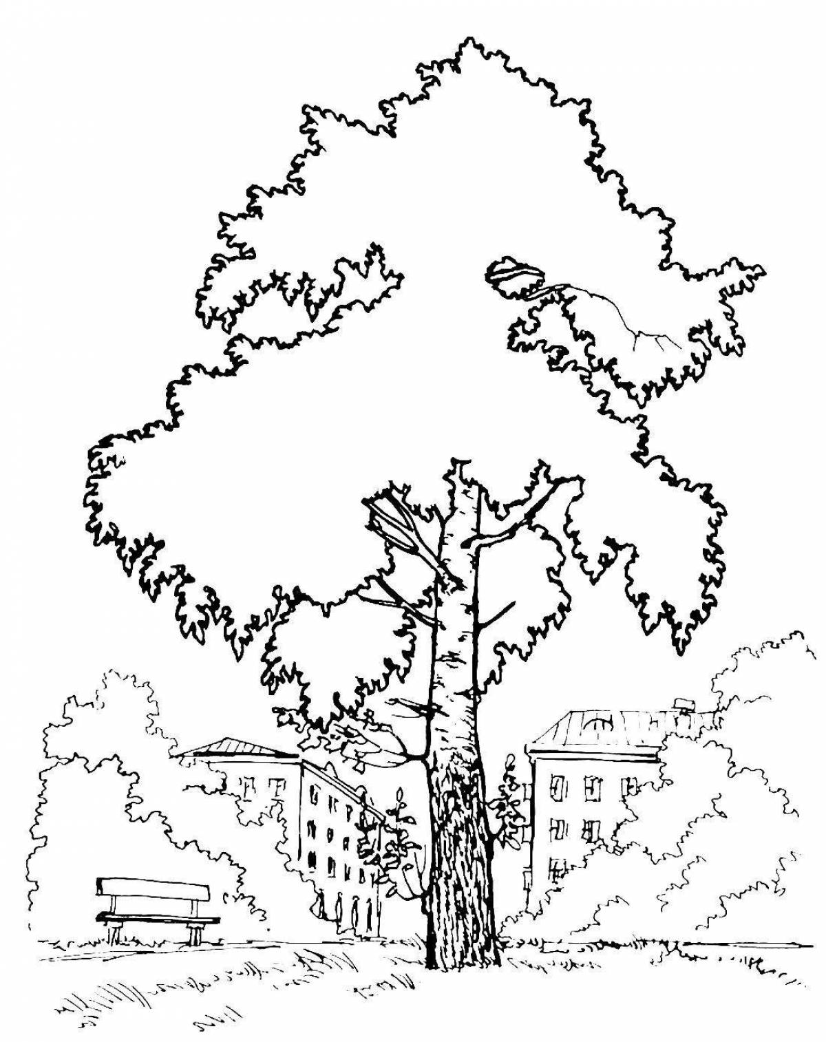 Charming birch coloring page