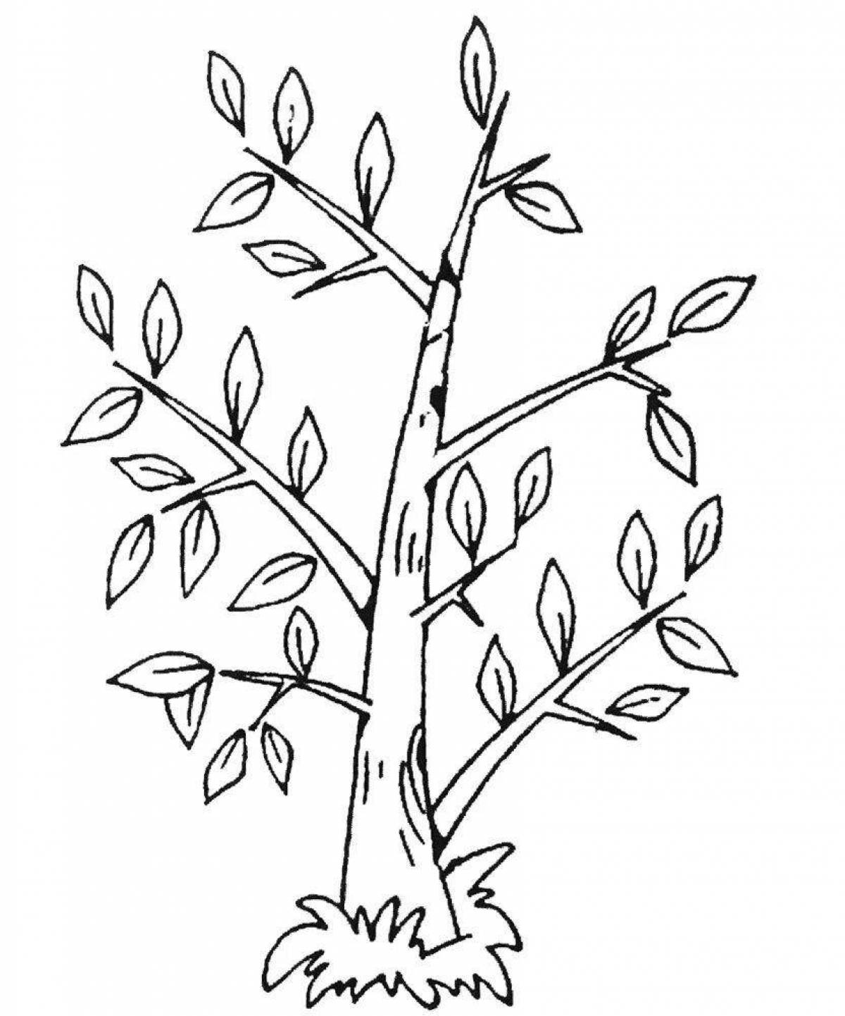 Glowing birch coloring page