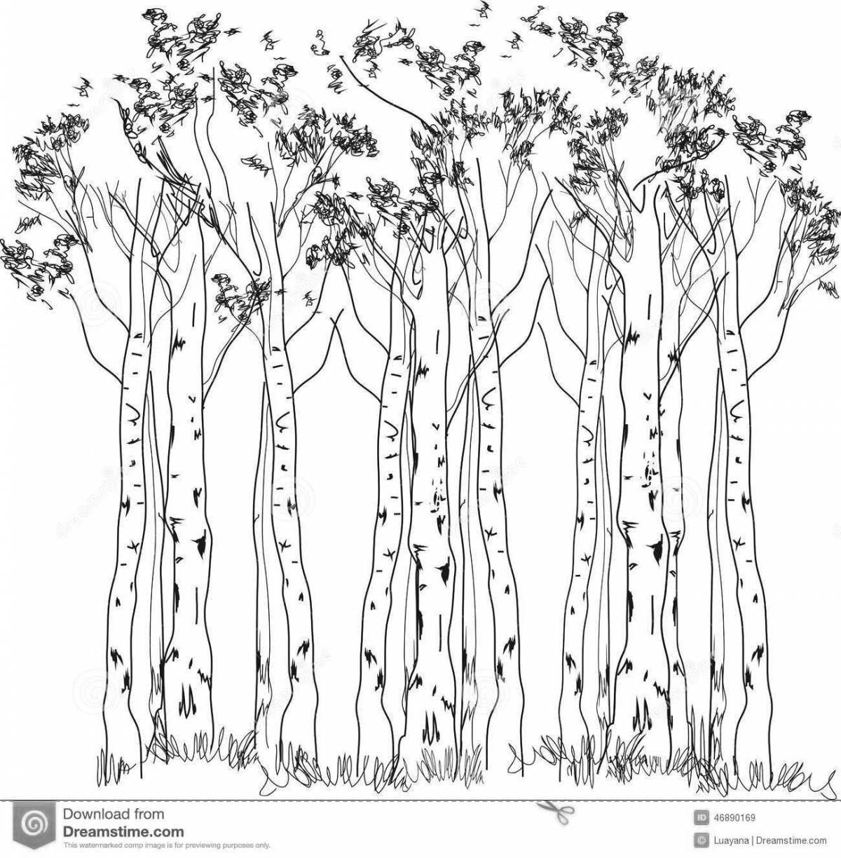 Coloring grandiose birch