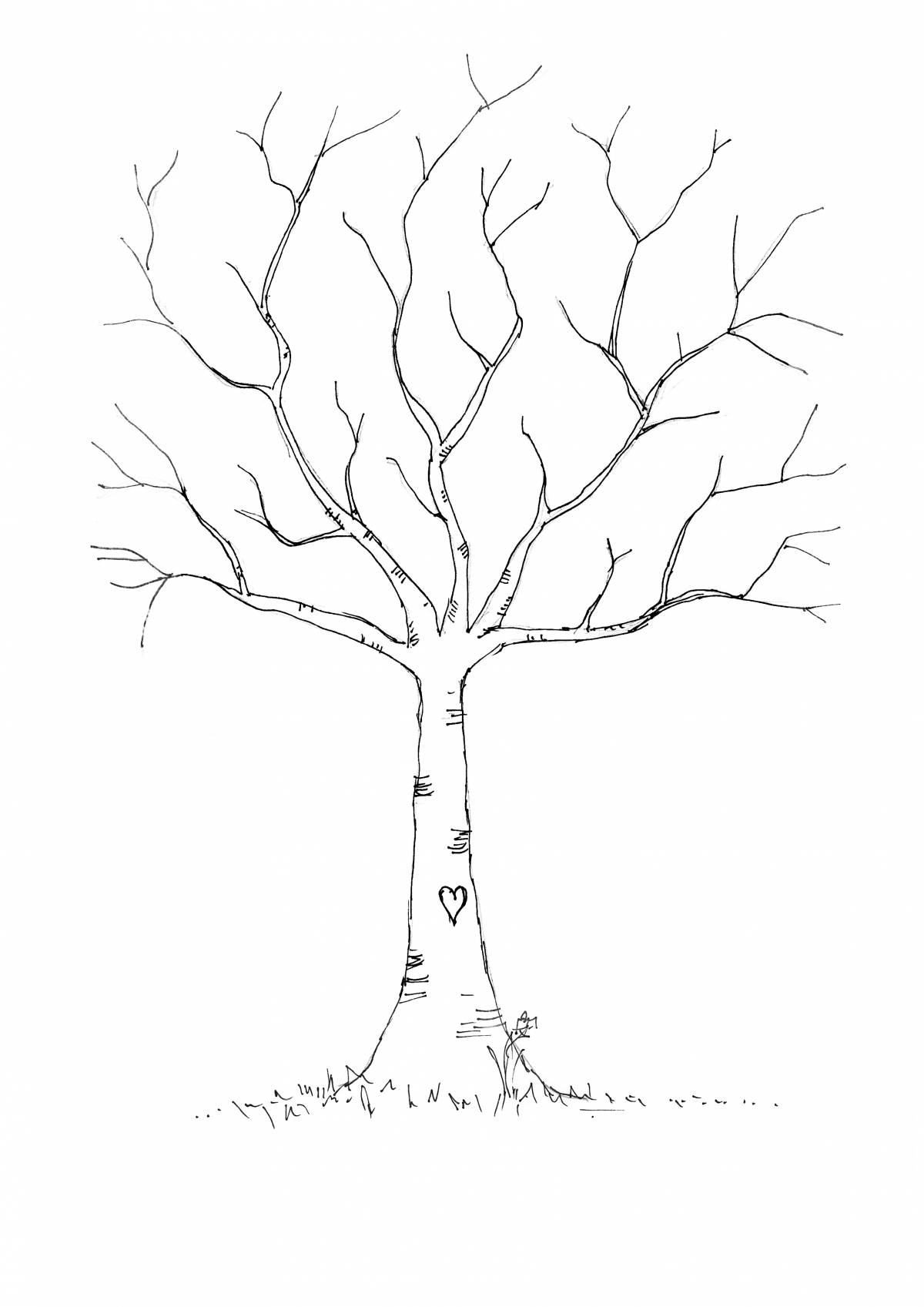 High birch coloring page