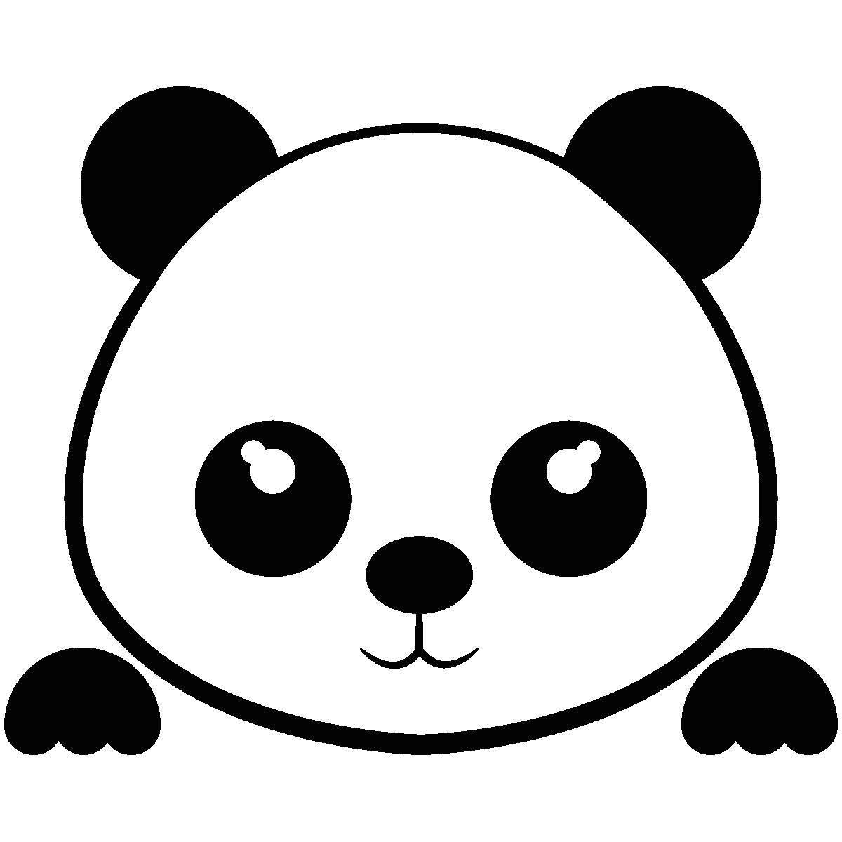 Attractive little panda coloring