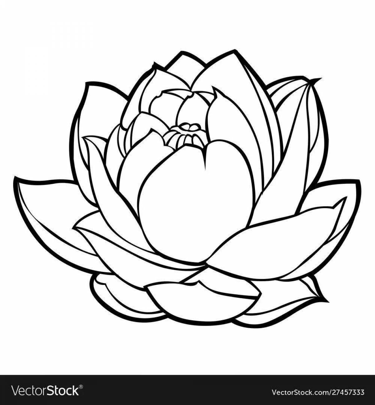 Bright coloring lotus flower