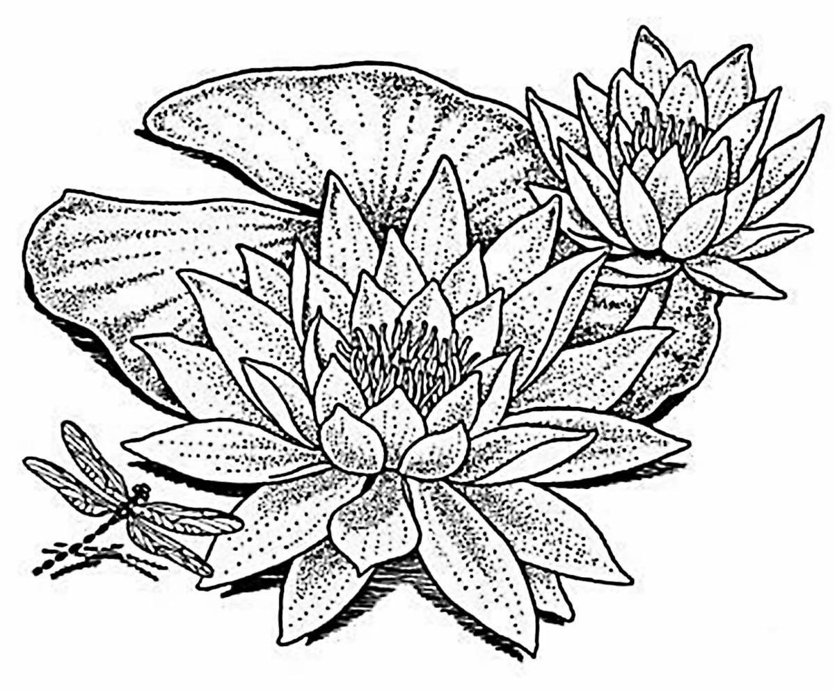 Сияющая раскраска цветок лотоса