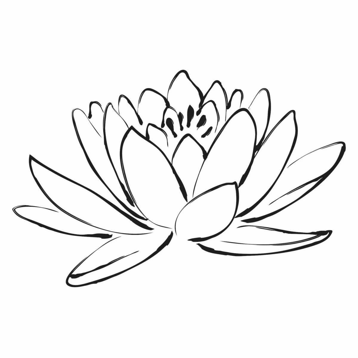 Elegant coloring lotus flower
