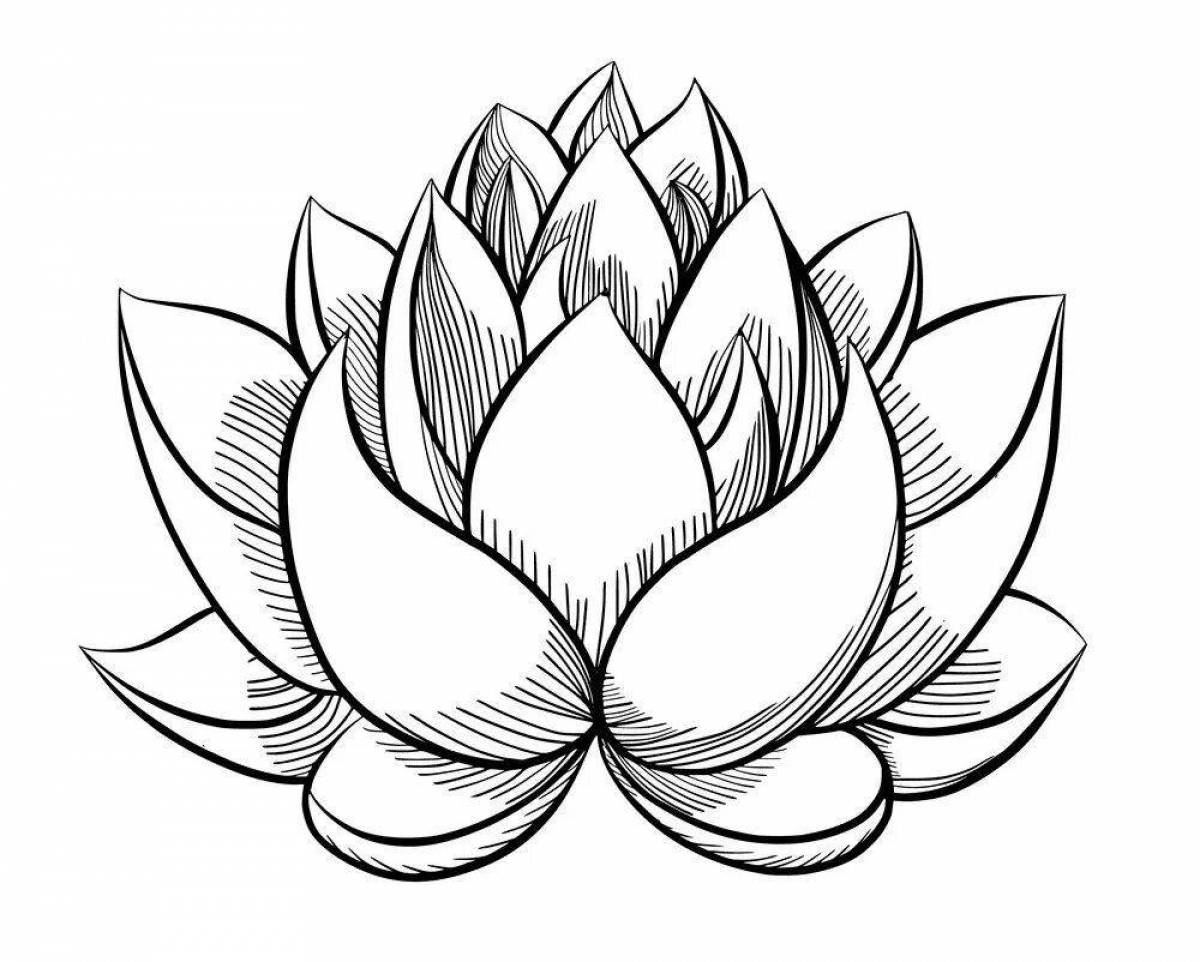 Serene coloring lotus flower