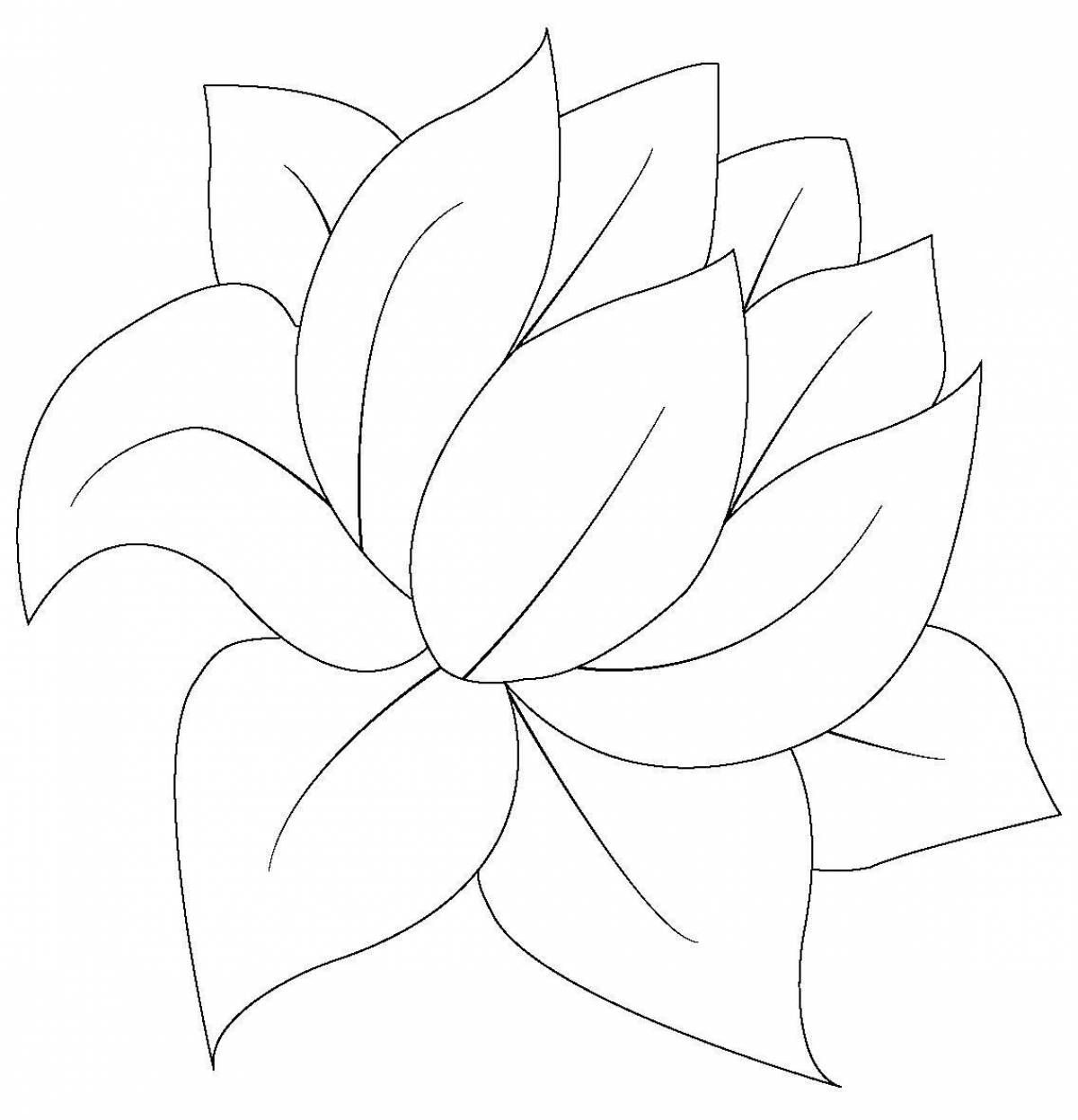Прекрасная раскраска цветок лотоса