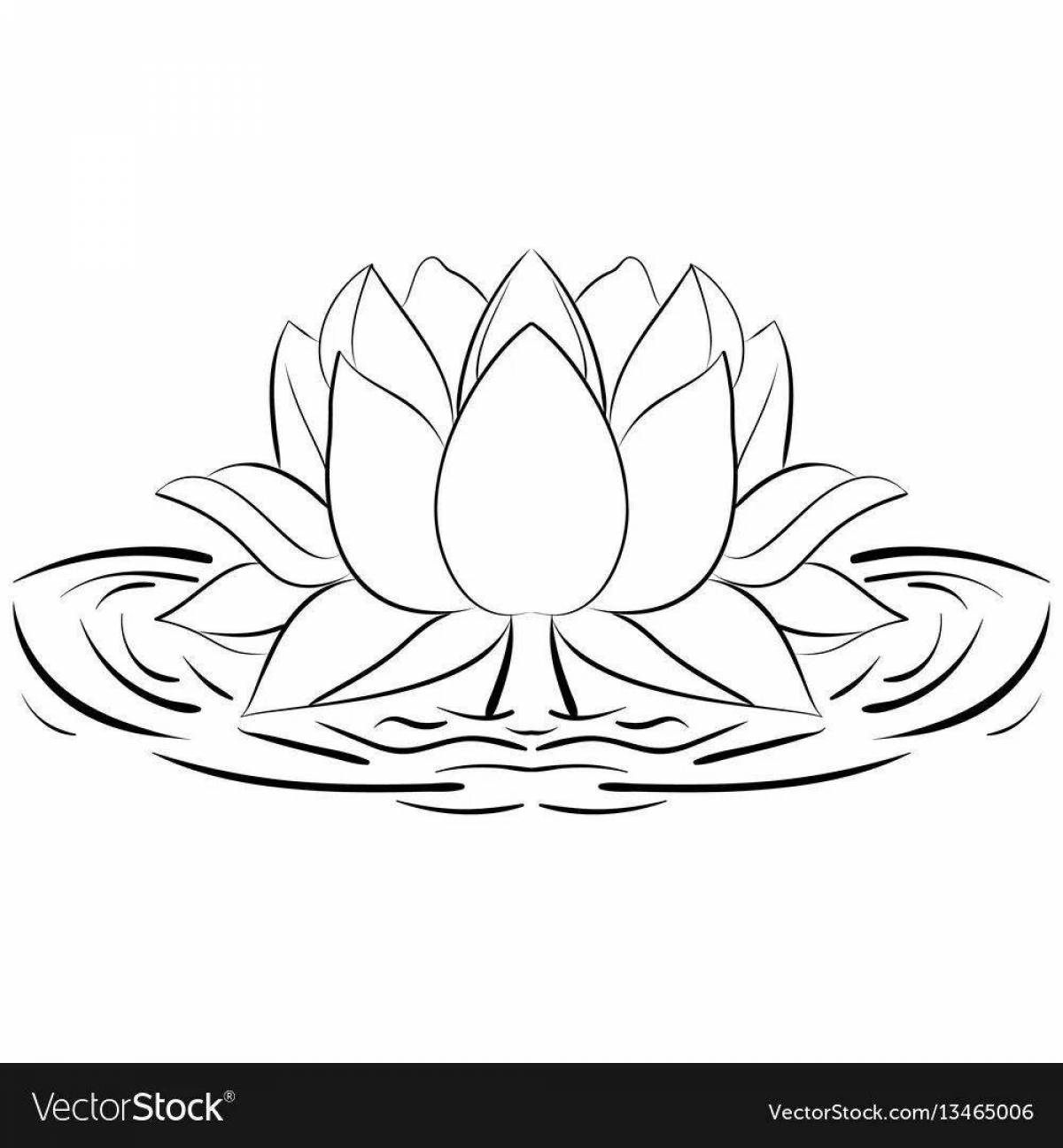 Exotic coloring lotus flower