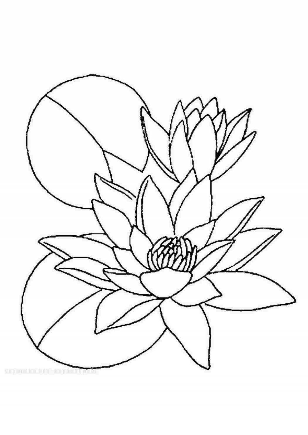 Mystical coloring lotus flower