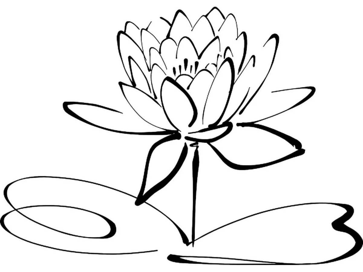 Мечтательная раскраска цветок лотоса