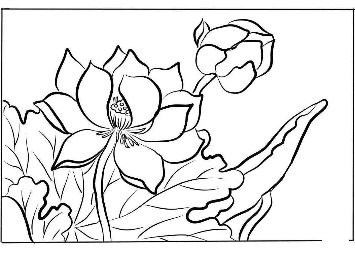 Поэтическая раскраска цветок лотоса