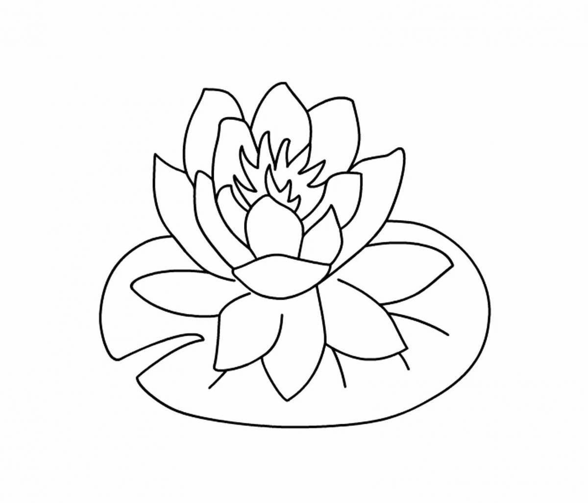 Violent coloring lotus flower