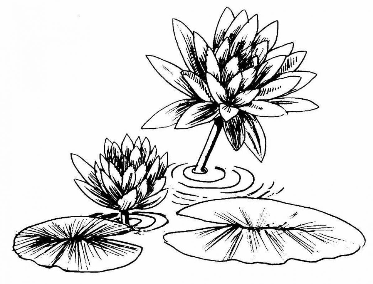 Радостная раскраска цветок лотоса