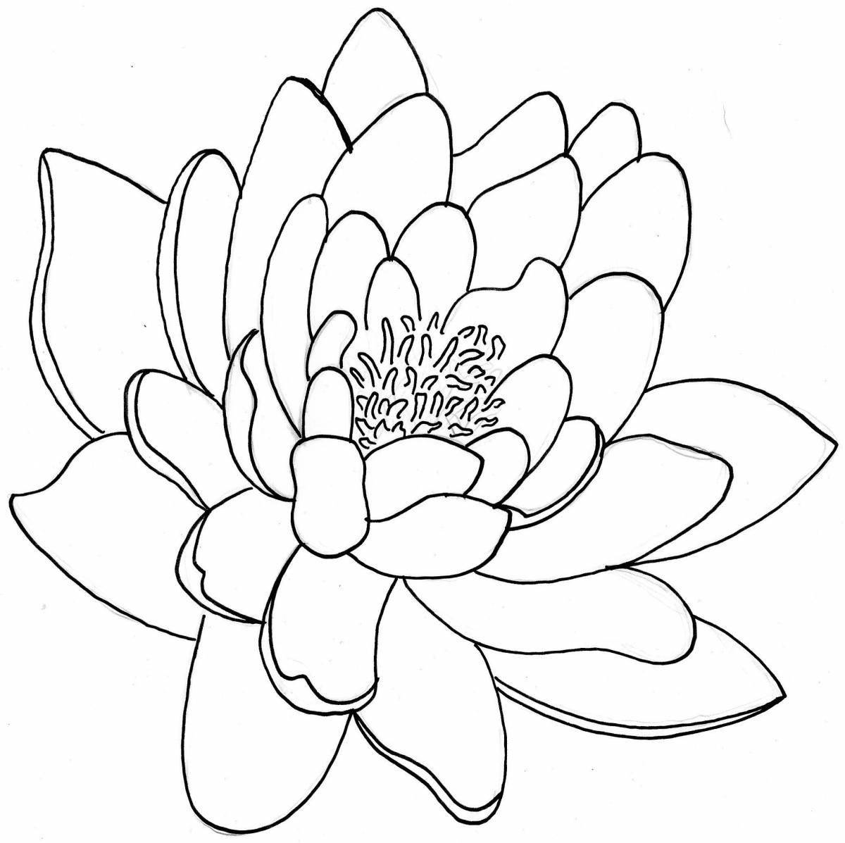 Украшенная раскраска цветок лотоса