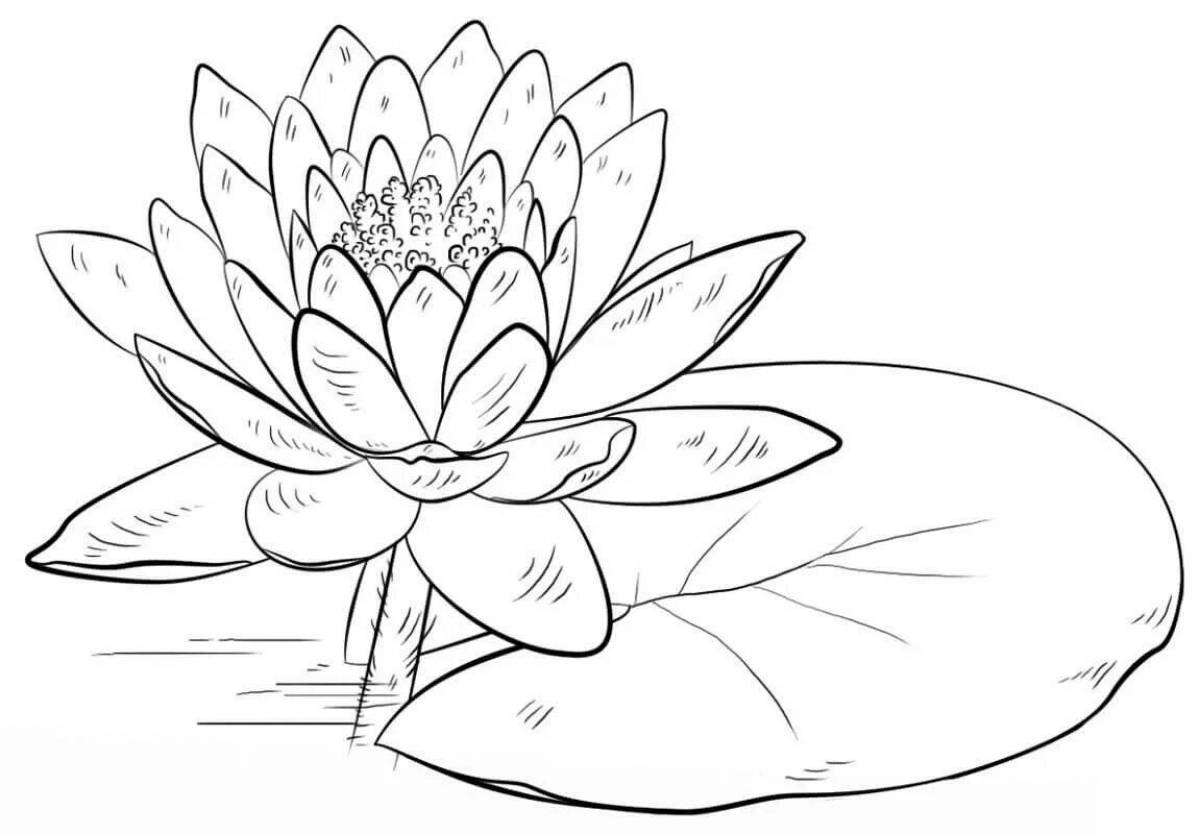Delightful coloring lotus flower