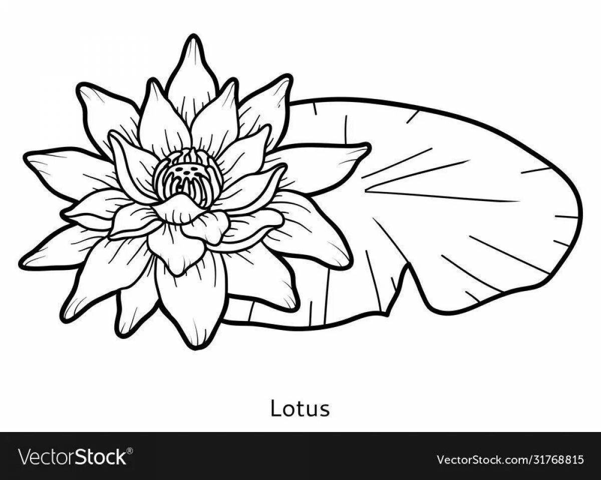 Причудливая раскраска цветок лотоса