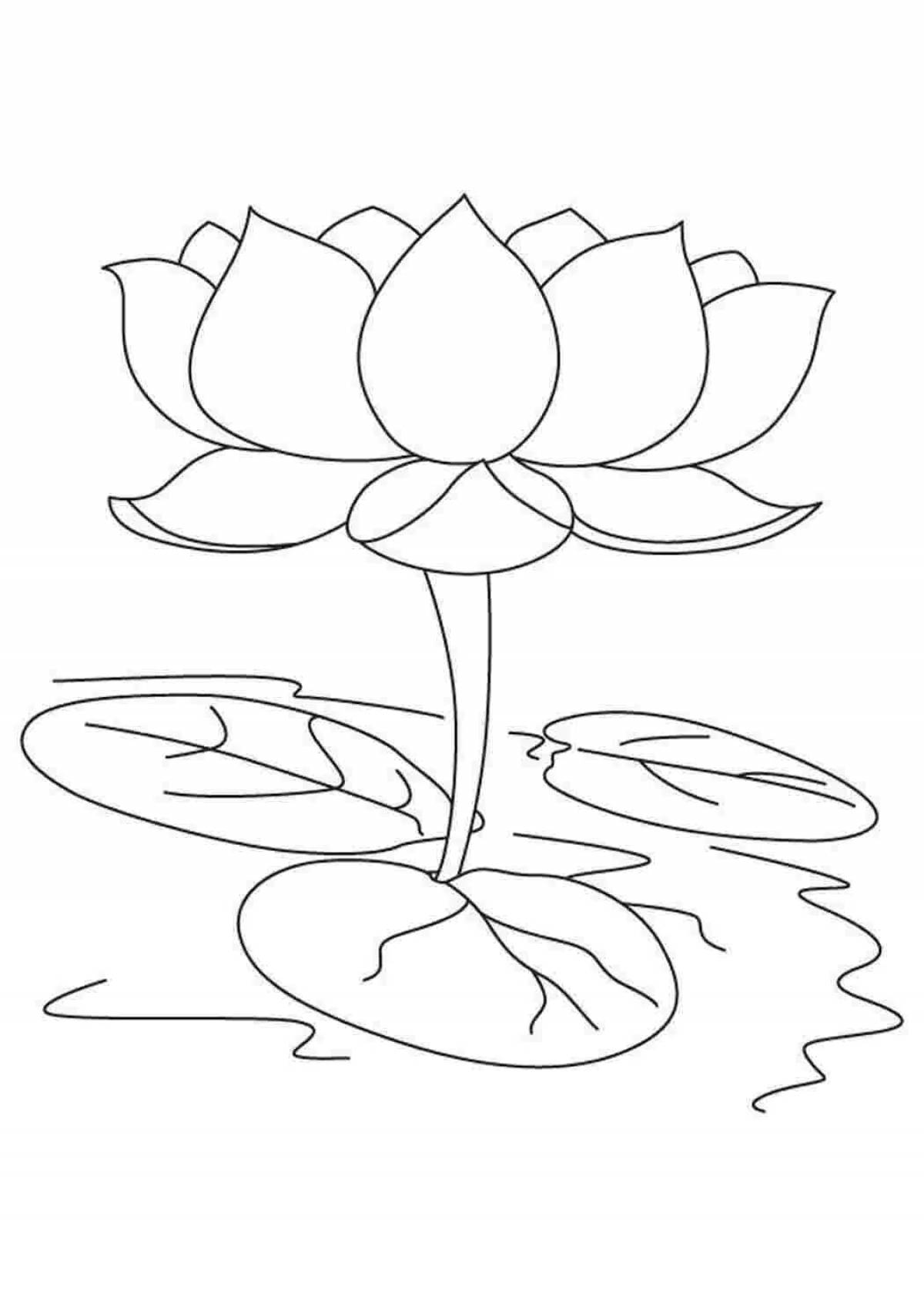 Large coloring lotus flower