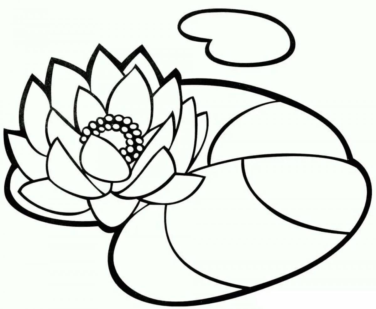 Photo Lotus flower #2
