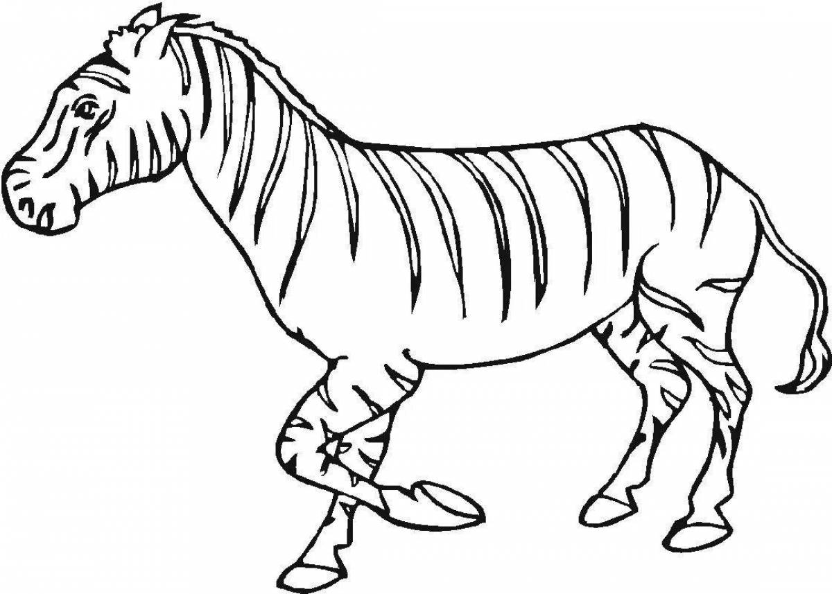 Причудливый рисунок зебры